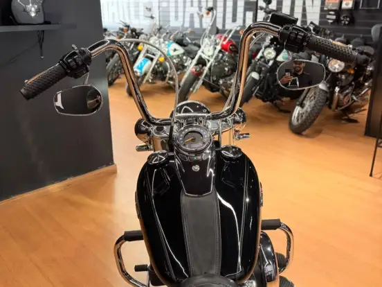 HARLEY-DAVIDSON-SOFTAIL DELUXE HARLEY-DAVIDSON-SOFTAIL DELUXE-2019