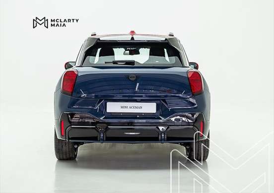 MINI-ACEMAN-2025