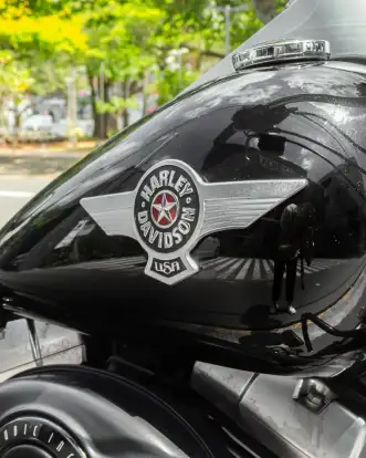 HARLEY-DAVIDSON-FAT BOY FLSTF HARLEY-DAVIDSON-FAT BOY FLSTF-2014