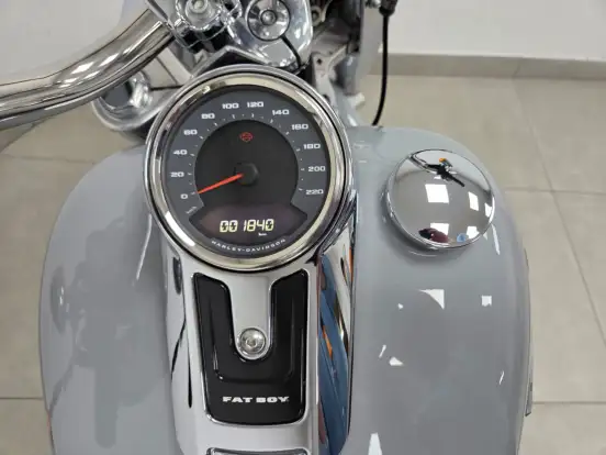 HARLEY-DAVIDSON-SOFTAIL FAT BOY 114-2024