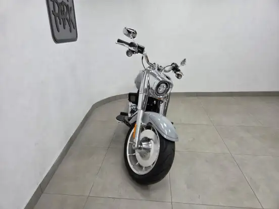 HARLEY-DAVIDSON-SOFTAIL FAT BOY 117 HARLEY-DAVIDSON-SOFTAIL FAT BOY 117-2025