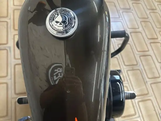 HARLEY-DAVIDSON-SPORTSTER IRON 883 HARLEY-DAVIDSON-SPORTSTER IRON 883-2020