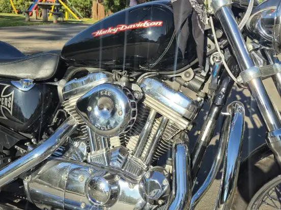 HARLEY-DAVIDSON-SPORTSTER XL 883 CUSTOM HARLEY-DAVIDSON-SPORTSTER XL 883 CUSTOM-2006