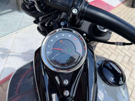 HARLEY-DAVIDSON-SOFTAIL FAT BOB 114-2022