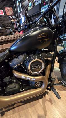 HARLEY-DAVIDSON-SOFTAIL FAT BOB 107-2018