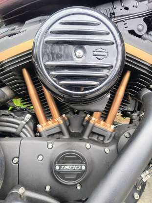 HARLEY-DAVIDSON-SPORTSTER IRON 1200-2019