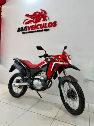 HONDA XRE 300 RALLY 