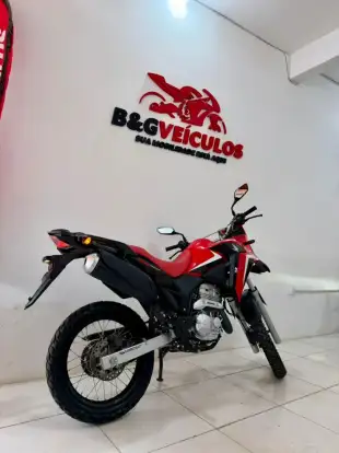 HONDA-XRE 300 RALLY-2023