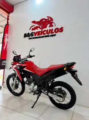 HONDA-XRE 300 RALLY HONDA-XRE 300 RALLY-2023
