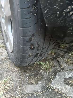 HONDA-FIT-2009