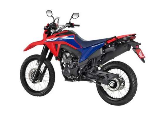 HONDA-XR 300L TORNADO-2026