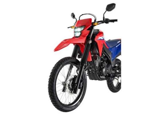 HONDA-XR 300L TORNADO-2026