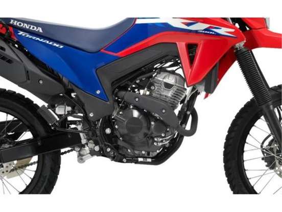 HONDA-XR 300L TORNADO-2026