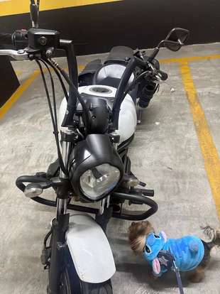 KAWASAKI-VULCAN S-2015