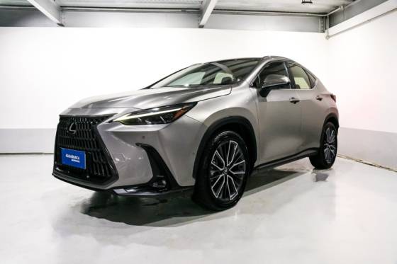 LEXUS NX 450h+ 2.5 PHEV AWD CVT