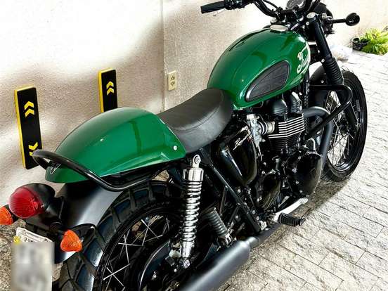 TRIUMPH-BONNEVILLE T 100 865 TRIUMPH-BONNEVILLE T 100 865-2015