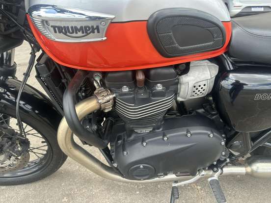 TRIUMPH-BONNEVILLE T100 900-2024