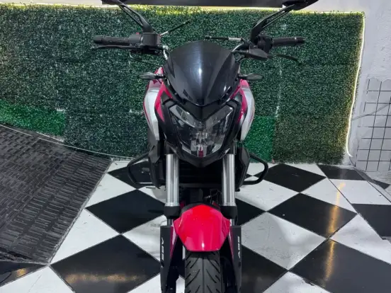BAJAJ-DOMINAR 250 BAJAJ-DOMINAR 250-2024