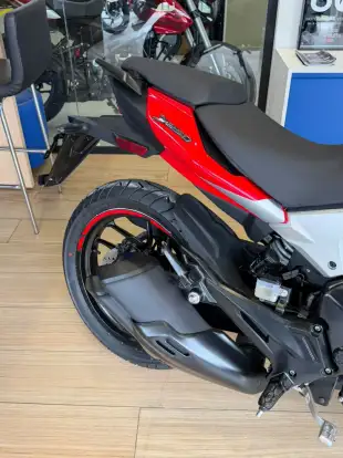 BAJAJ-DOMINAR 250 BAJAJ-DOMINAR 250-2026