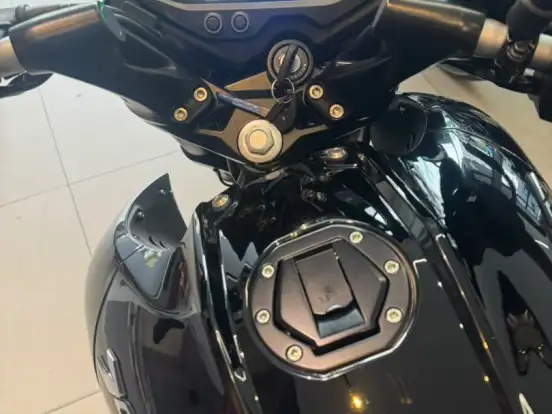BAJAJ-DOMINAR NS160 BAJAJ-DOMINAR NS160-2026