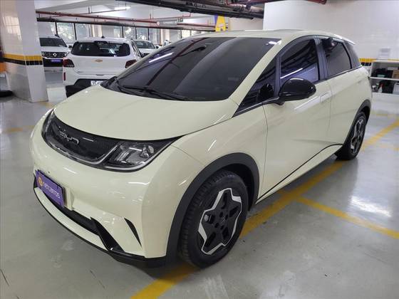 BYD DOLPHIN 44,9 KW ELÉTRICO GS