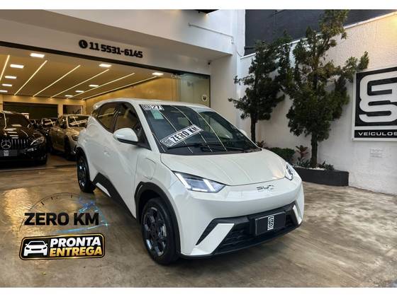 BYD DOLPHIN MINI 38 KW ELÉTRICO GL