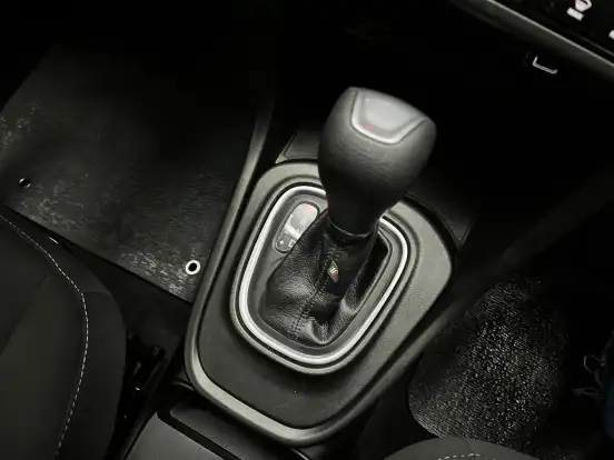 FIAT-PULSE-2024
