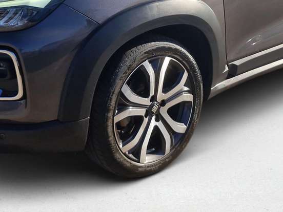 FIAT-PULSE-2025