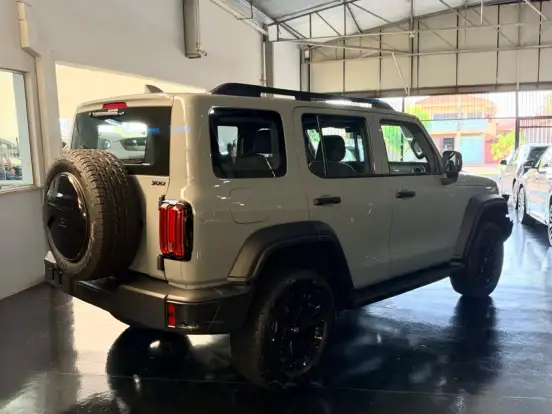 GWM-TANK 300-2.0 HI4-T PHEV FLEX 4X4 9HAT GWM-TANK 300-2026