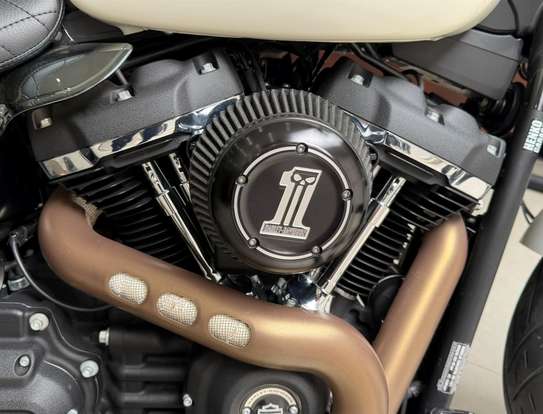 HARLEY-DAVIDSON-SOFTAIL FAT BOB 107-2019