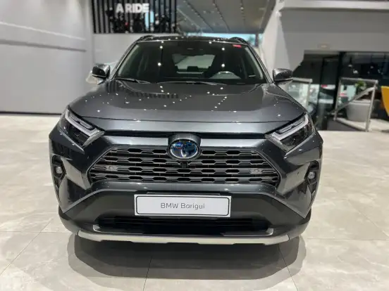 TOYOTA-RAV4-2024