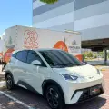 BYD DOLPHIN MINI 38 KW ELÉTRICO GS BYD DOLPHIN MINI 38 KW ELÉTRICO GS