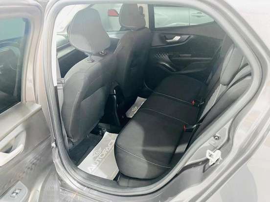 FIAT-PULSE-2024