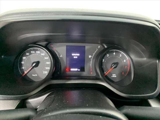 FIAT-PULSE-2023
