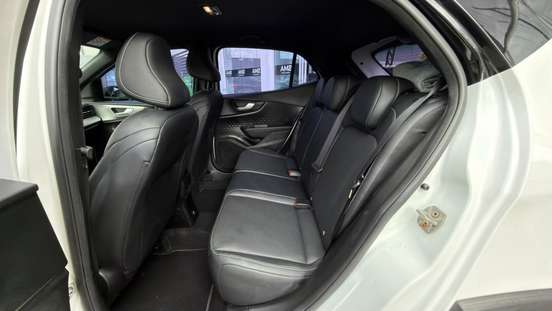 FIAT-PULSE-2022