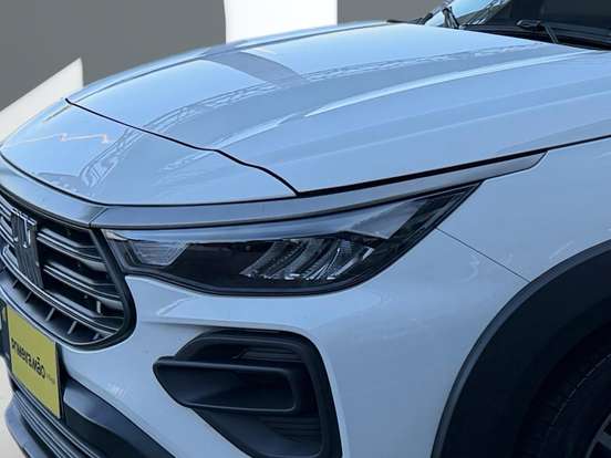 FIAT-PULSE-2024
