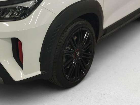 FIAT-PULSE-2025