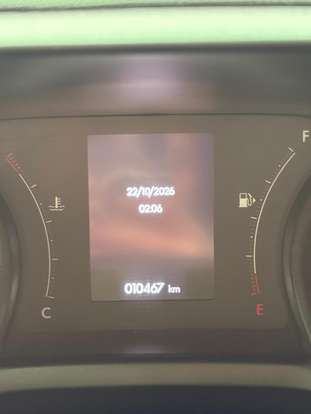 FIAT-PULSE-2024