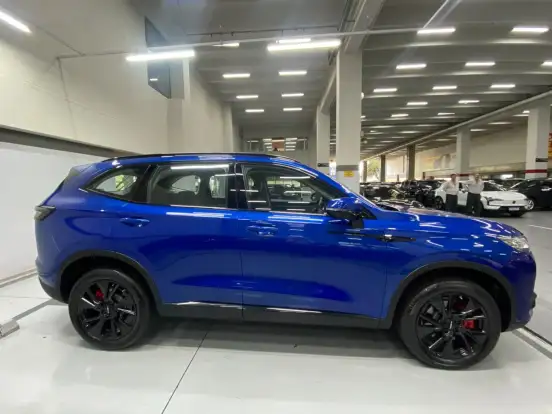 GWM-HAVAL H6-2025