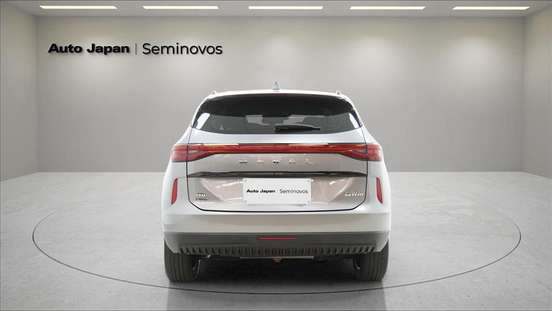 GWM-HAVAL H6-2024