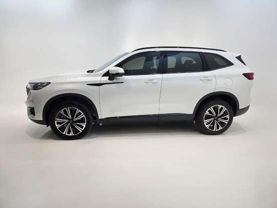 GWM-HAVAL H6-1.5 PHEV19 E-TRACTION GWM-HAVAL H6-2024