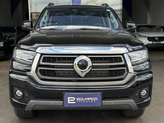 GWM-POER P30-2025