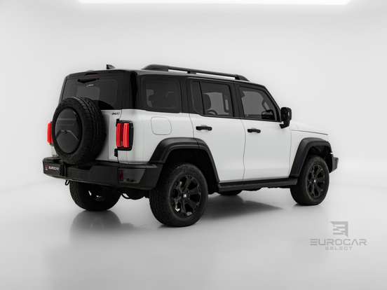 GWM-TANK 300-2025