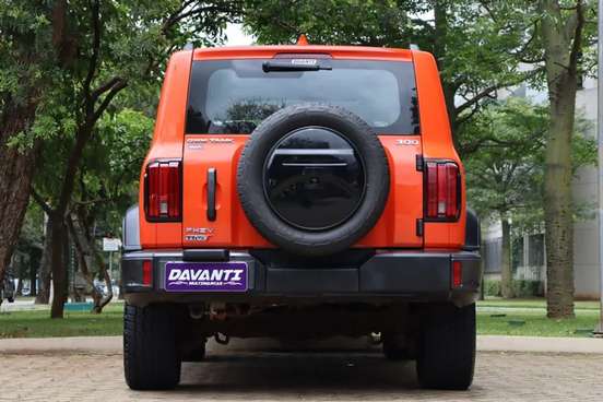 GWM-TANK 300-2.0 HI4-T PHEV 4X4 9HAT GWM-TANK 300-2024