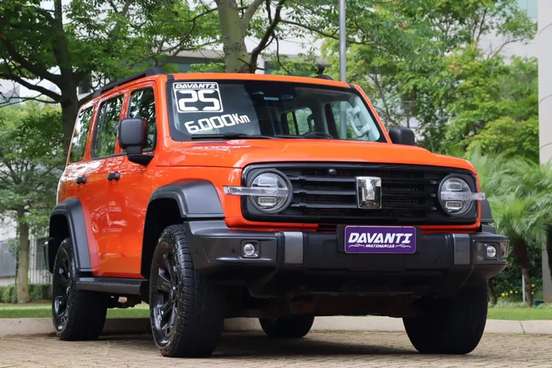 GWM-TANK 300-2024