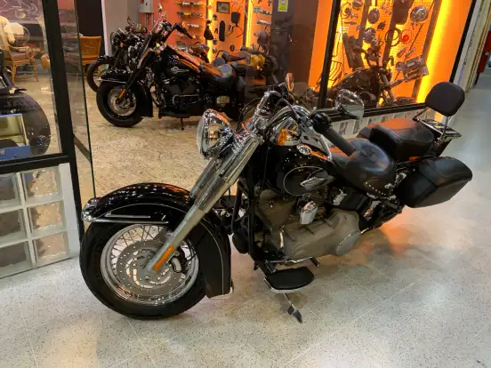 HARLEY-DAVIDSON-HERITAGE CUSTOM HARLEY-DAVIDSON-HERITAGE CUSTOM-2009