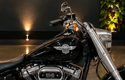 HARLEY-DAVIDSON-SOFTAIL FAT BOY 114-2019