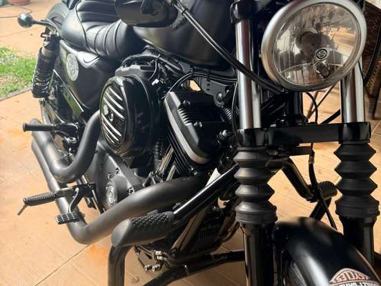 HARLEY-DAVIDSON-SPORTSTER IRON 883 HARLEY-DAVIDSON-SPORTSTER IRON 883-2019