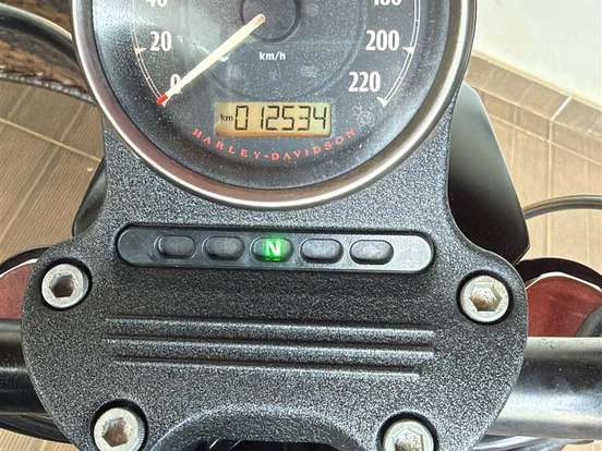HARLEY-DAVIDSON-SPORTSTER IRON 883 HARLEY-DAVIDSON-SPORTSTER IRON 883-2019