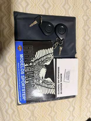 HARLEY-DAVIDSON-SPORTSTER IRON 883-2019
